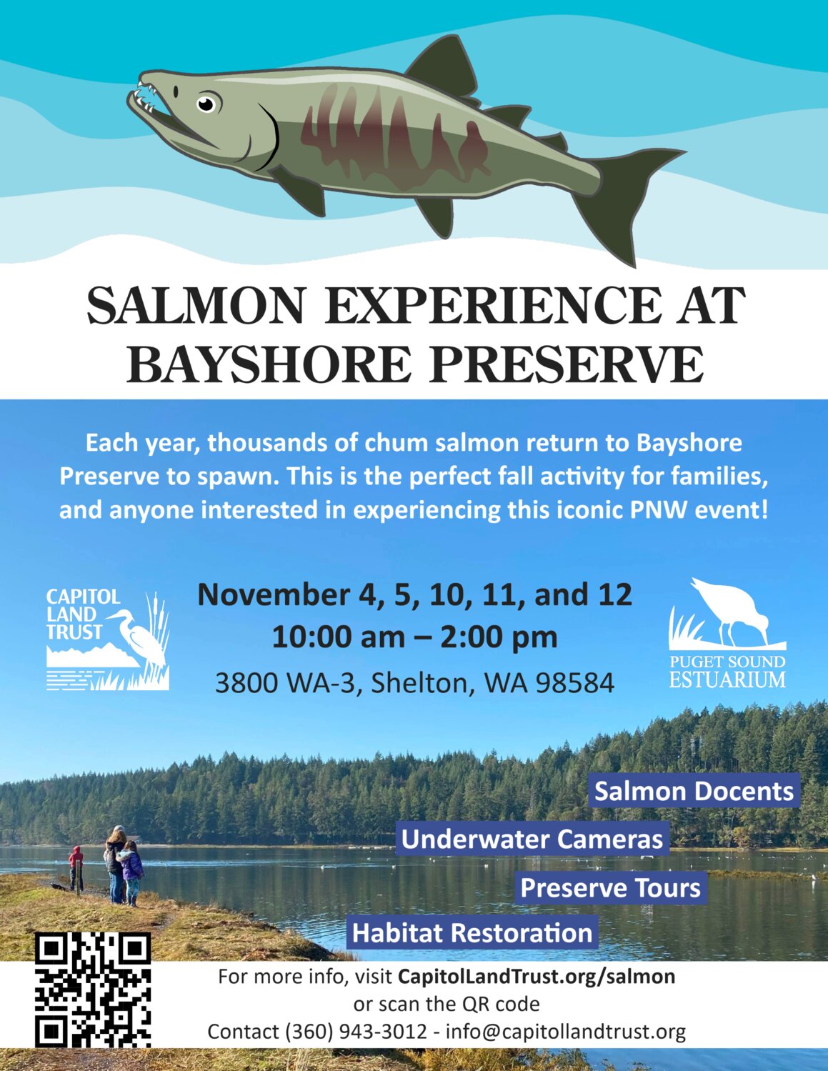 Bring your family and friends to Bayshore Preserve to witness the return and spawning of chum salmon.